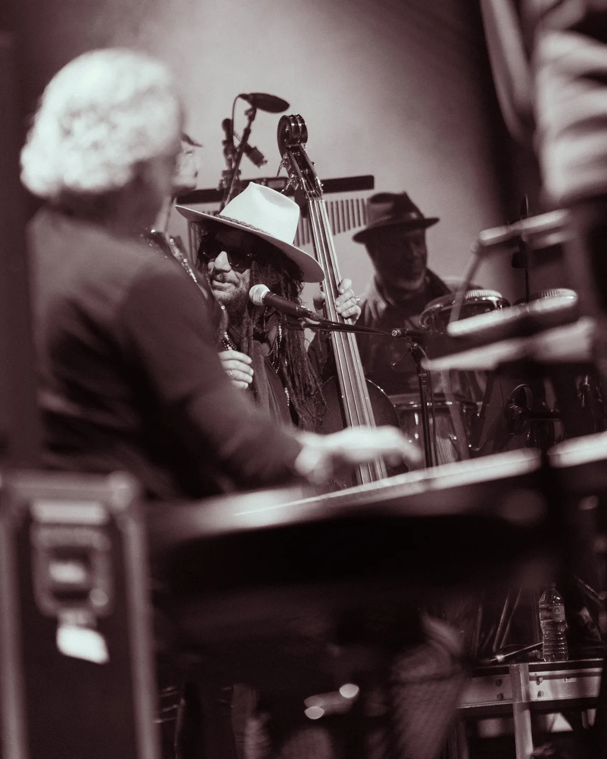 Don Was playing upright bass at Fort Mose Jazz Festival in St. Augustine, Florida